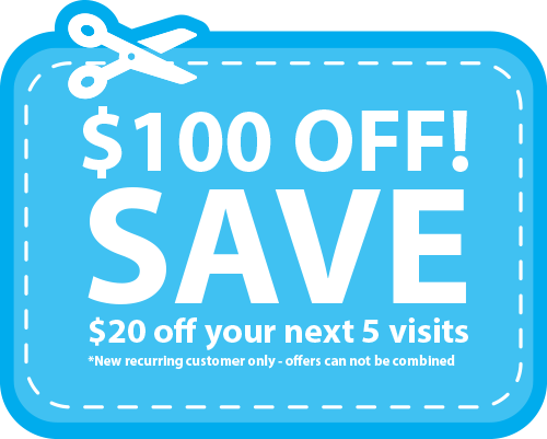 Cleaning Services coupon save 100 dollars